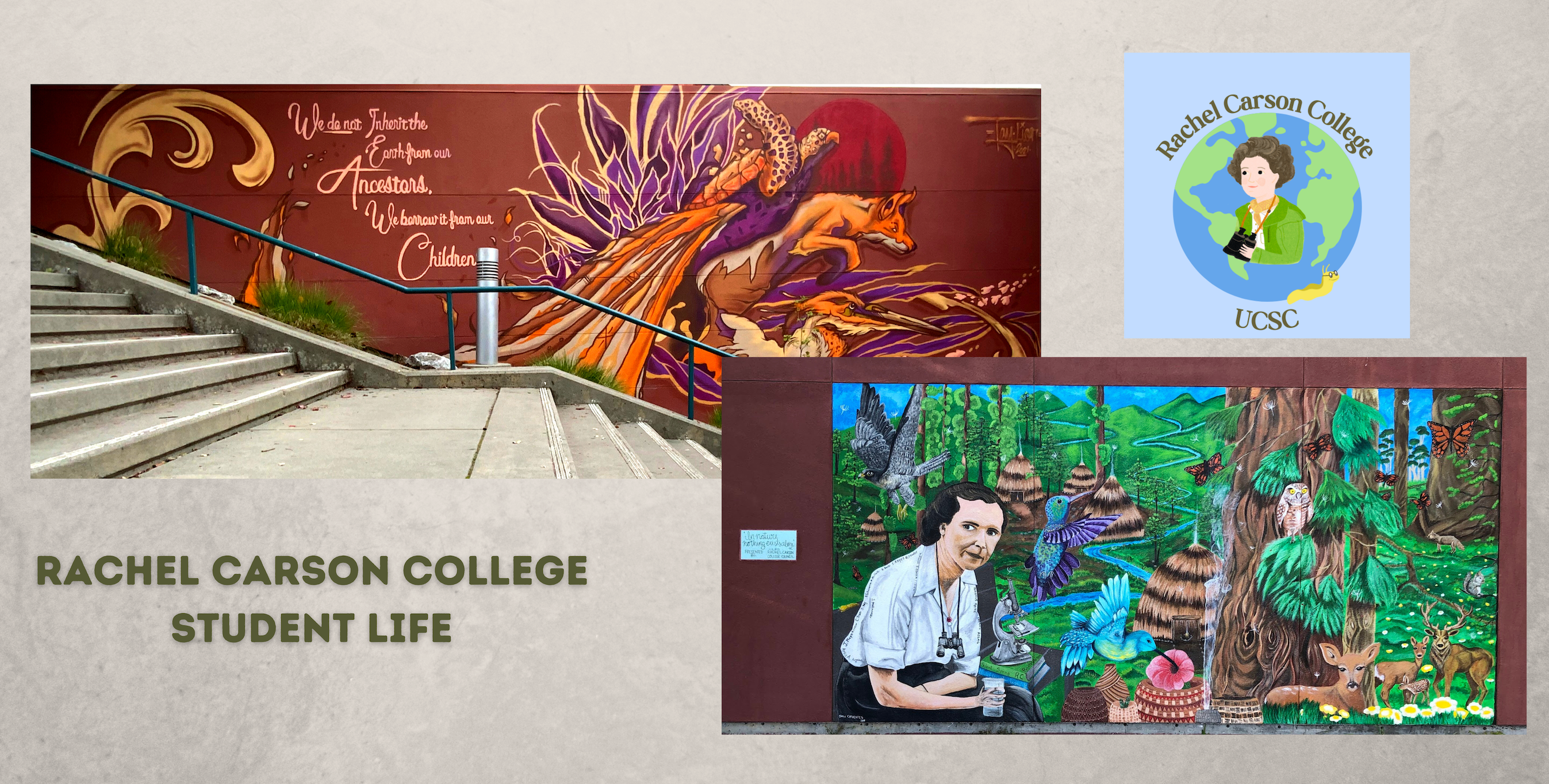 Images of two murals within Rachel Carson College Locations. First mural is of a Native American Proverb which reads: "We do not inherit the Earth from our ancestors, we borrow it from our children." The second is a student mural of environmentalist and name sake, Rachel Carson surrounded by redwoods and different animals. The picture contains the Rachel Carson College, Student Life logo of a lotus flower formed as a fist. On the other side, Rachel Carson College Student Life is written. 