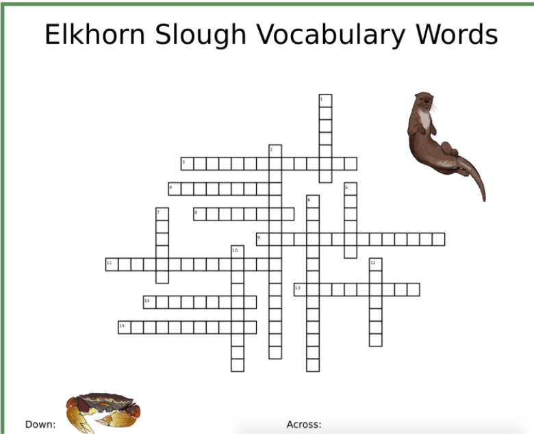 educational-activities-crossword