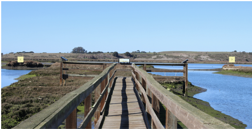 elkhorn-slough-bridge