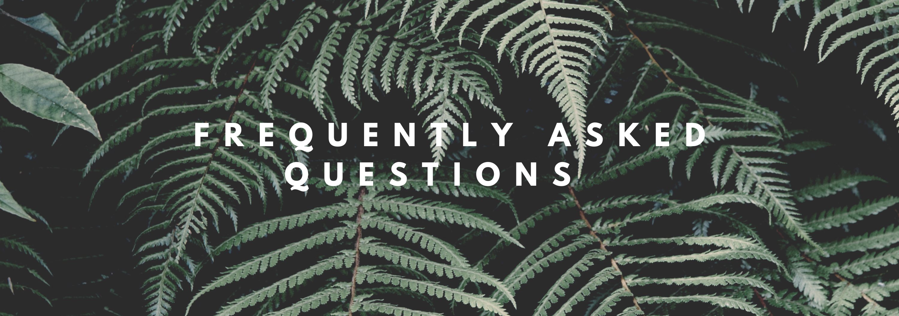 Frequently asked questions 
